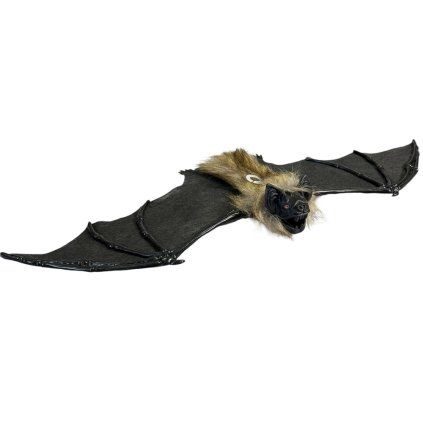 upír 1