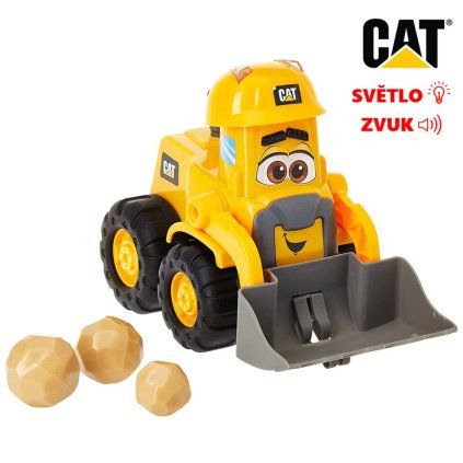cat bagr 1