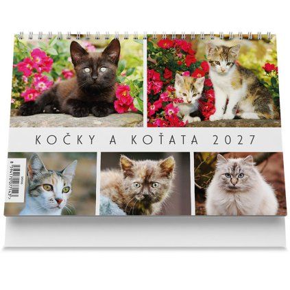 kalendář na rok 2027 kočky a koťata 1