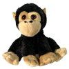 kam2