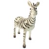 zebra2