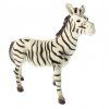 zebra1