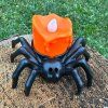 halloween svíčka pavouk 4