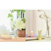 sonny angel home sweet home 12