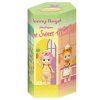 sonny angel home sweet home 18