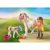 playmobil 71243t