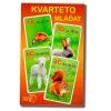kvarteto 5