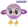 bouncibles19