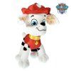 p1