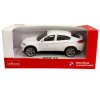 rastar bmw x6 6